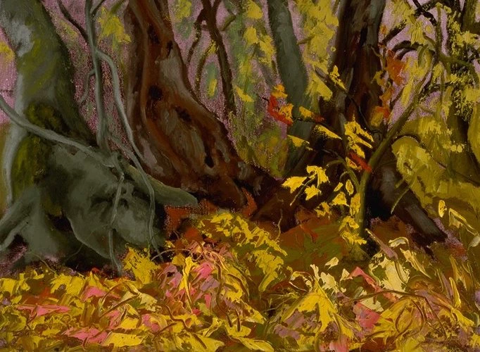 Mountain Mohagany Leaves